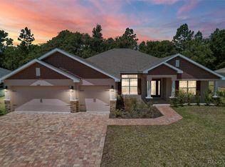 6680 SW 179th Court Rd, Dunnellon, FL 34432