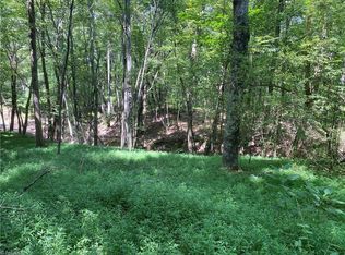 0 Old Winston Rd, Pilot Mountain, NC 27041