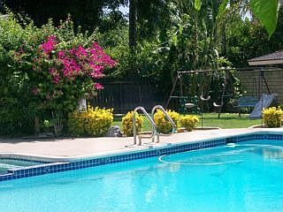 Pool and Backyard