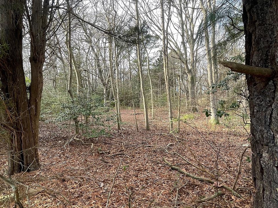 Pickering Beach Delaware Real Estate at Andrew Savage blog