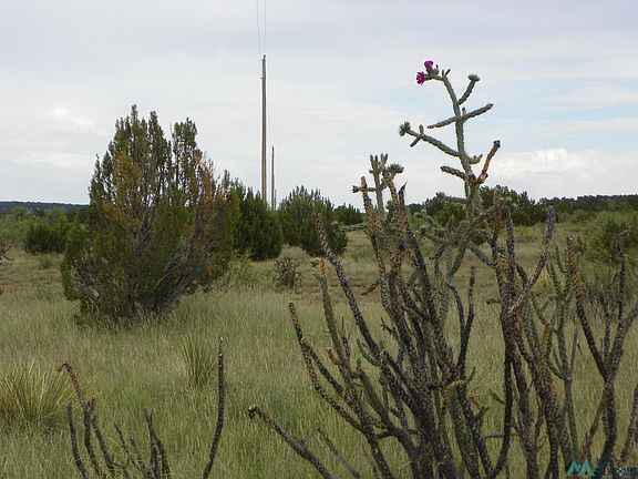 2nd image of Mesita Pass