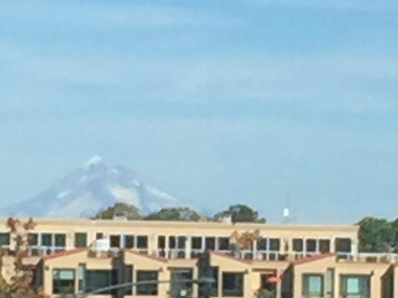 Taken from living room window