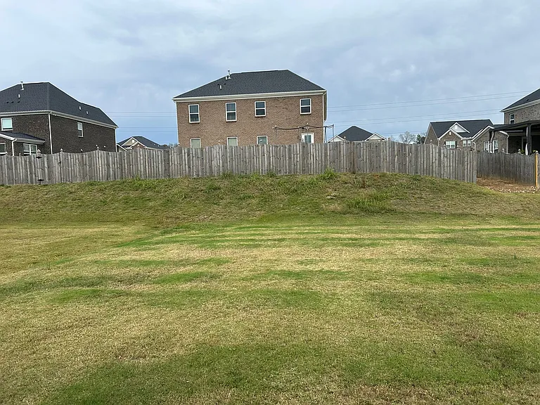 Big Backyard