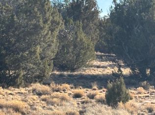 26 County Road 3048, Concho, AZ 85924