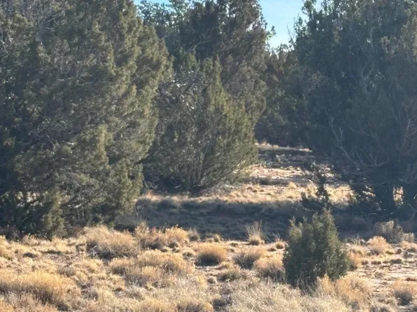 26 County Road 3048, Concho, AZ 85924