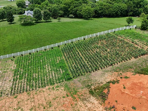 2nd image of 925 Holston Shores Dr