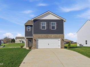 224 Chimney View Loop, Blountville, TN 37617