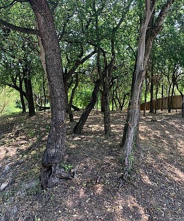 3rd image of 1327 Circle H Dr