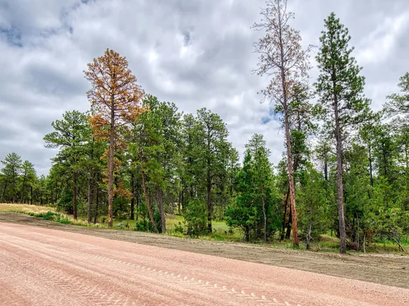 10 E Pine St, Pine Haven, WY 82721