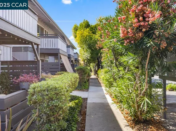 213 Masters Ct APT 3, Walnut Creek, CA 94598