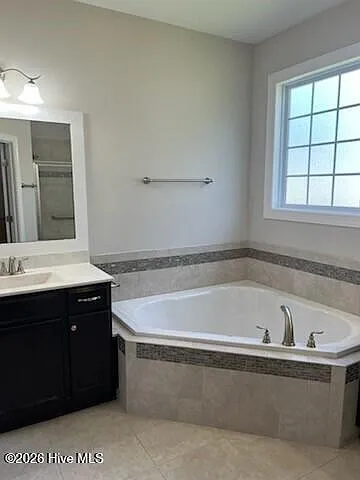 3702 Cinnamon Fern Dr — Photo 9
