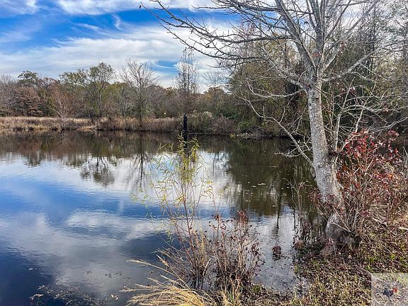 3rd image of 831 County Road 4314
