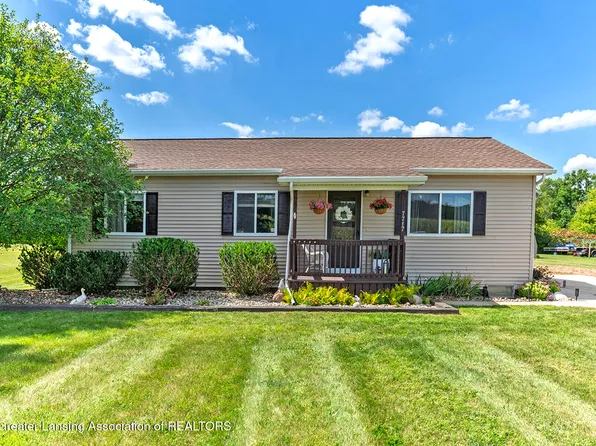 7717 N Wacousta Rd, Fowler, MI 48835