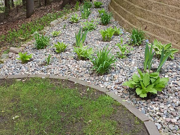 Back side of firepit area