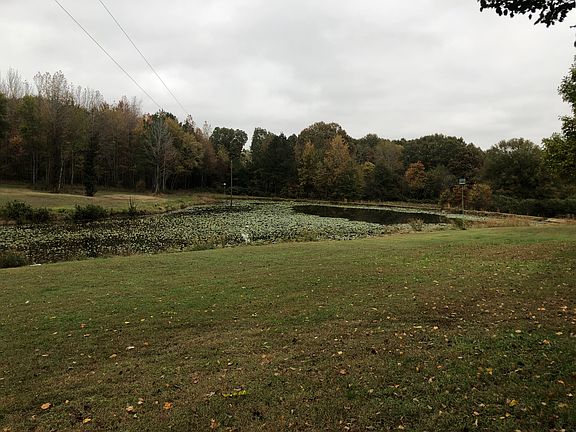 Pond in back yard