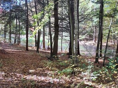 LOT Harkness Rd #D, Amherst, MA, 01002