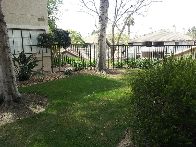 3565 Paseo De Los Californianos #247 — Photo 10