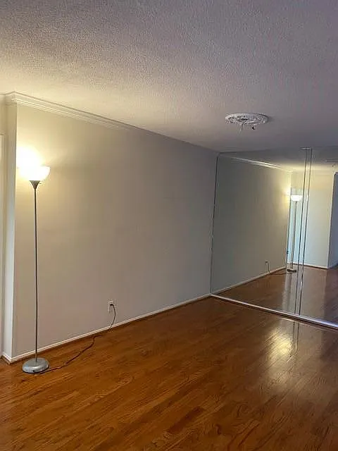 2 bed, 1132 sqft, $3,100 — Photo 4