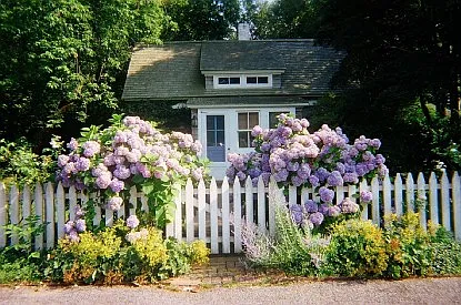 Southampton Village Deal of the Summer! — Photo 2