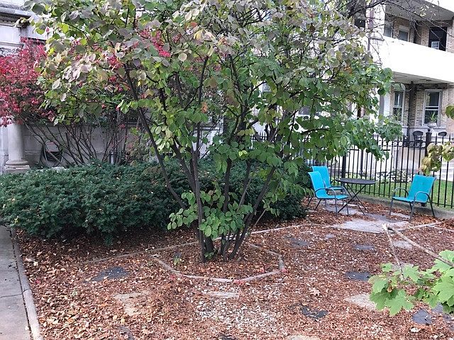 2nd image of 2502 N Kedzie Blvd #S1