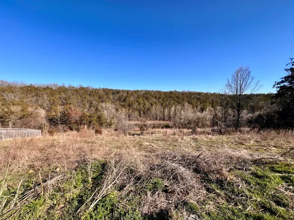 121 Jury Lane, Branson, MO 65616