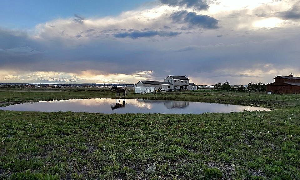 16525 Fannin Cir, Peyton, CO 80831 Zillow