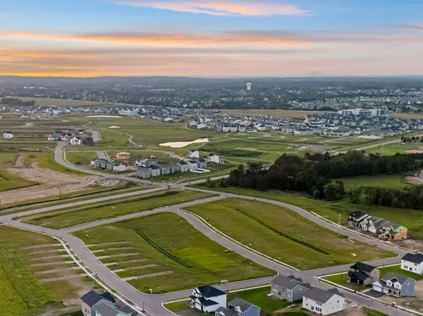 Richmond Plan, Amber Fields