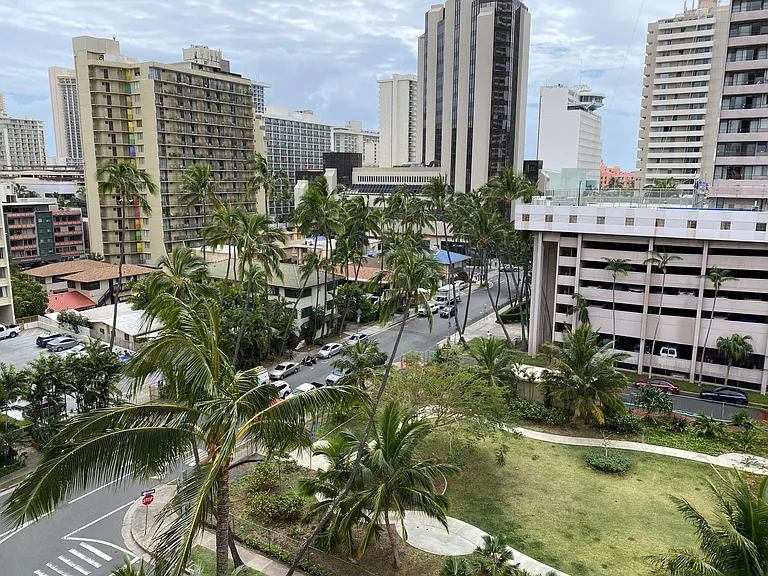 View to a green park and you can also see Royal Hawaii hotel(Pink building) from the sliding door.