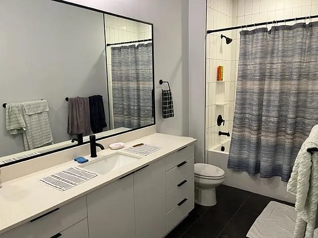 guest bathroom (spacious)