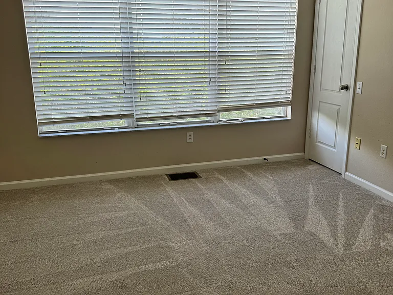 10126 Bessemer Pond Ct #10126 — Photo 10