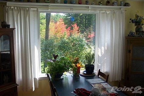 New England fall life