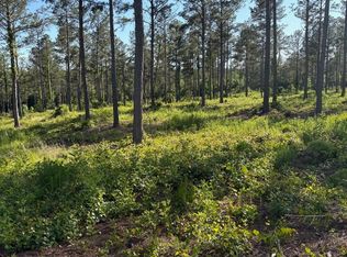 334 Berry Rd, Pelzer, SC 29669