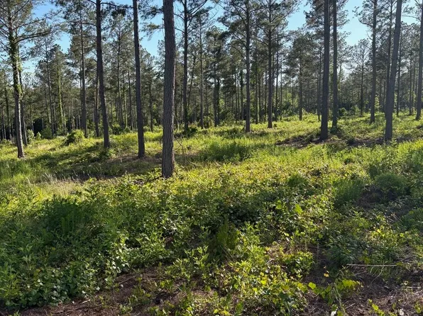 334 Berry Rd, Pelzer, SC 29669