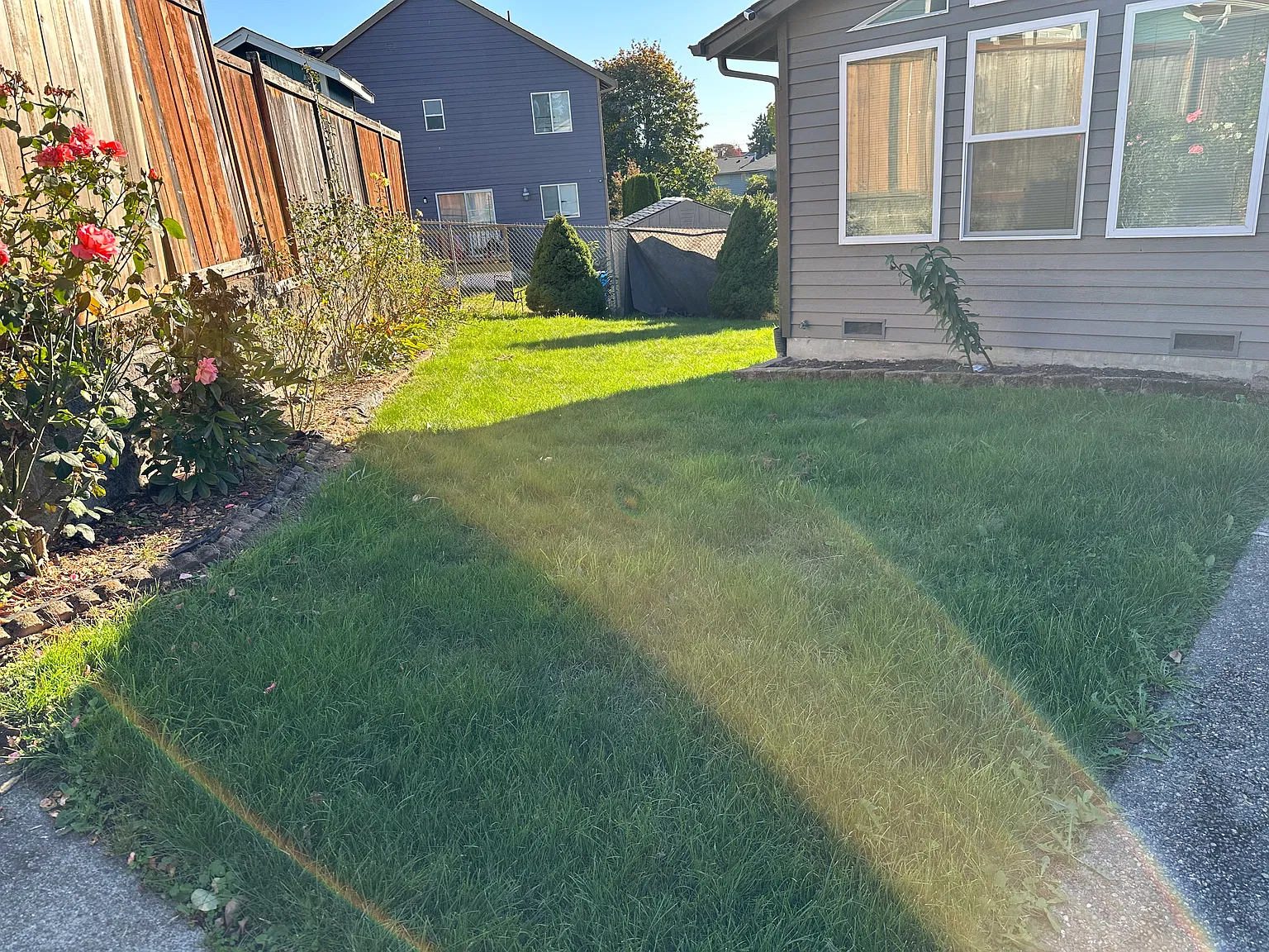 3 bed, 1360 sqft, $3,075 — Photo 3