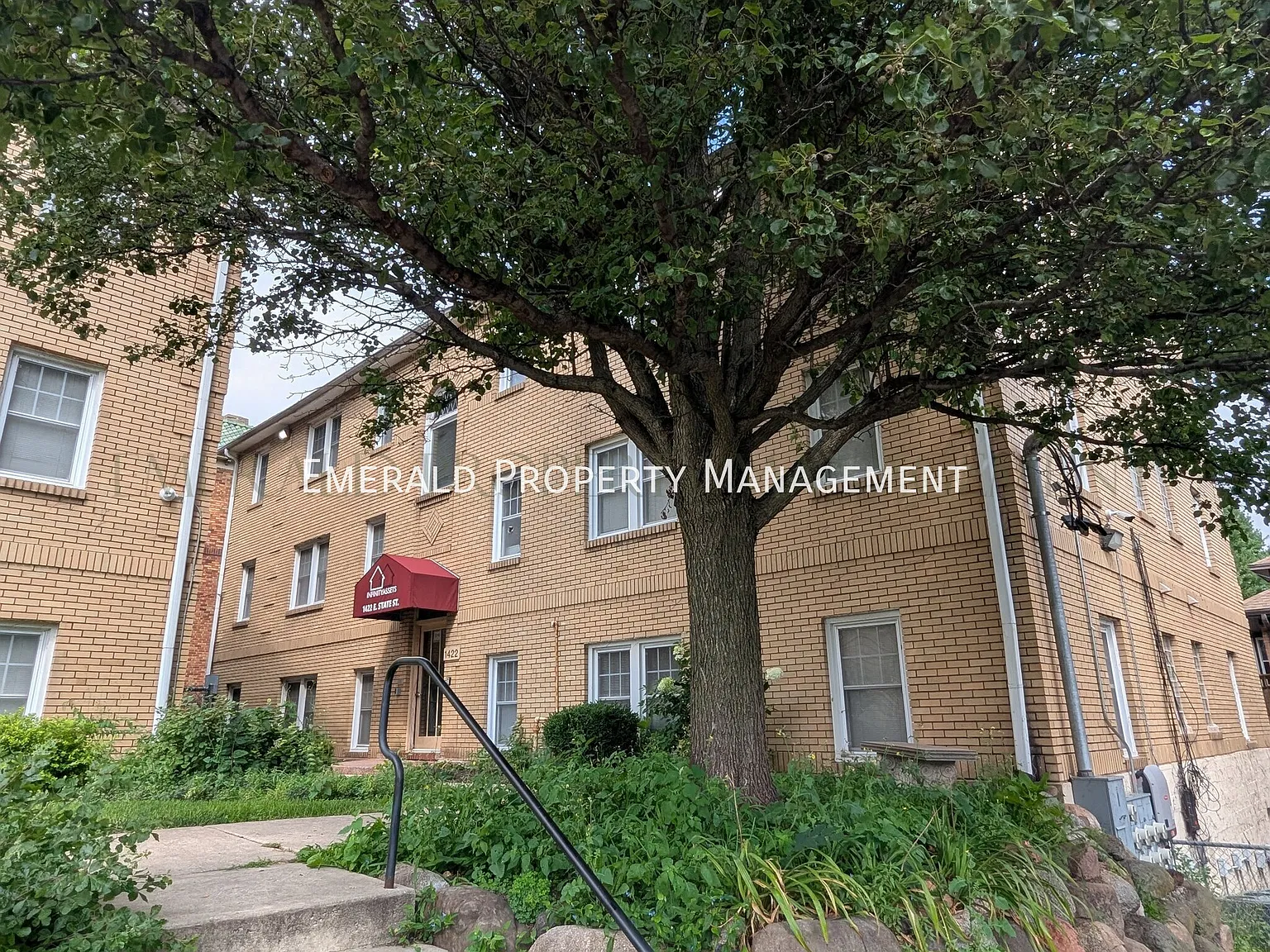 1 bed, $875 — Photo 1