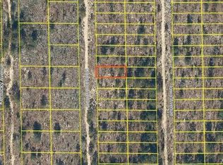 120 Kansas Ave #40, Hawthorne, FL 32640