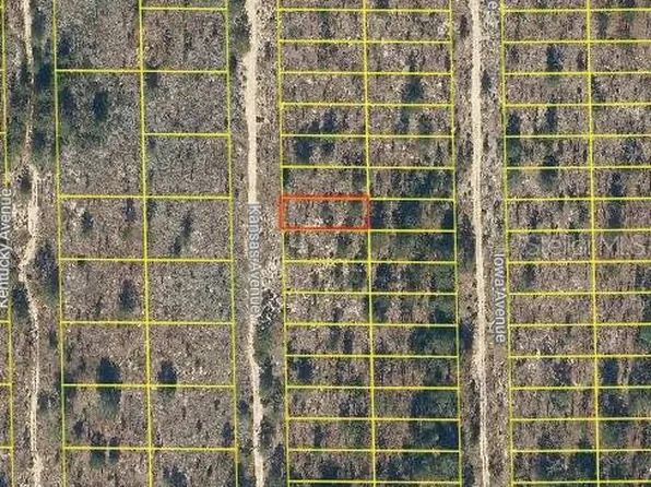 120 Kansas Ave #40, Hawthorne, FL 32640
