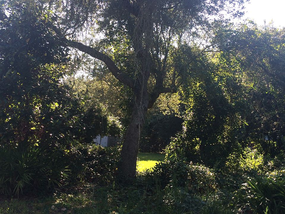 2nd image of 1293 Holliday Dr