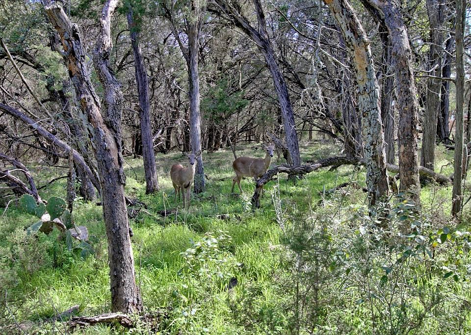 1st image of 743 Wombat Grv