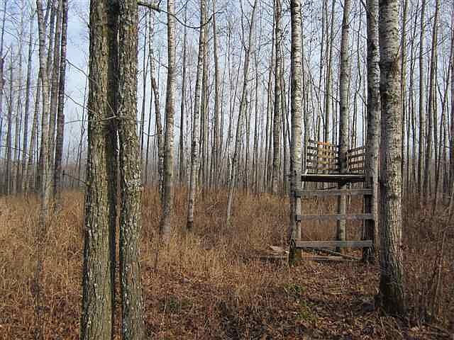 1st image of xxx County Rd 4