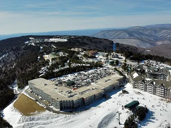 102 Mountain Ldg, Snowshoe, WV 26209
