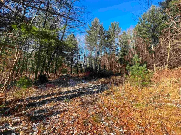 Vl N Meridian Rd, Sanford, MI 48657