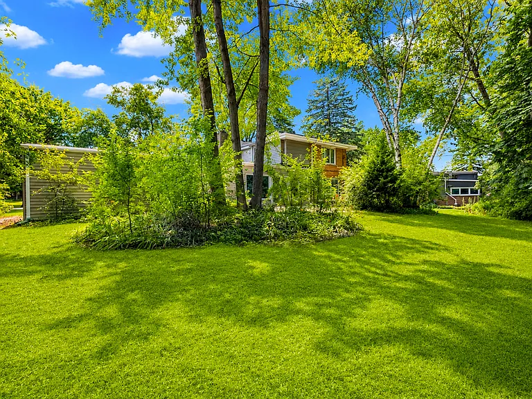 Lovely Backyard