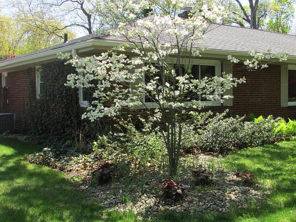 3rd image of 2903 Thayer Dr