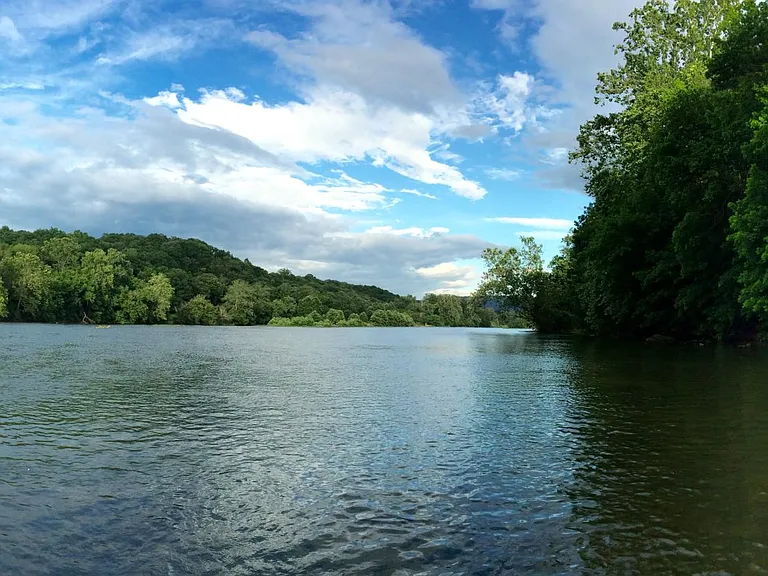 Riverview Shores Dr — Photo 14