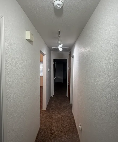 1701 Halden Way — Photo 14