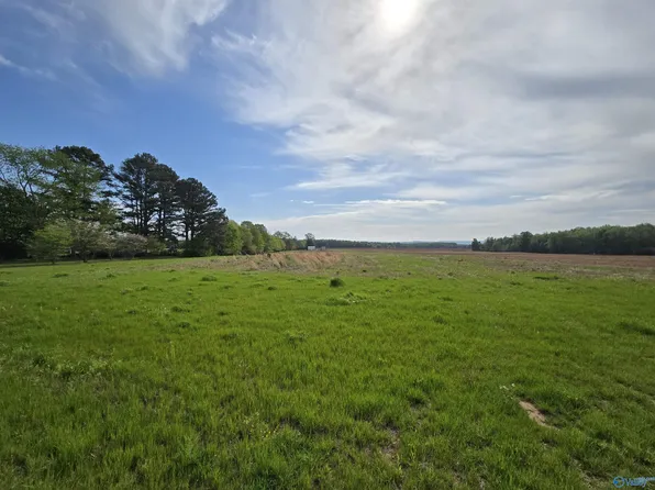 Walnut Grove Rd, New Market, AL 35761
