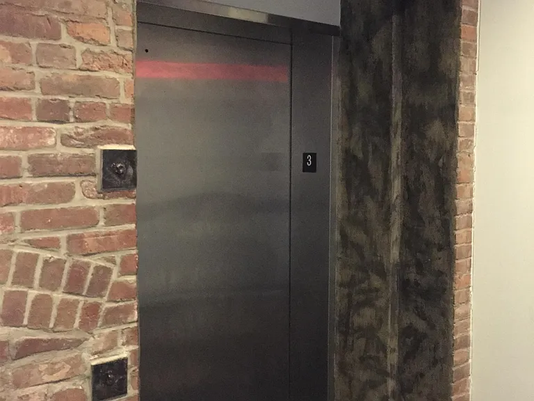 338 Grove St #4A — Photo 23
