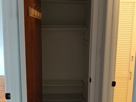 4th image of 93 McGuinness Blvd #3RE