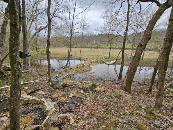 000 County  Road 178-A, Dora, MO 65637
